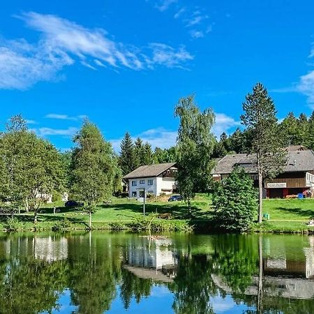 Ferienwohnung "Am Skilift" Herrischried المظهر الخارجي الصورة