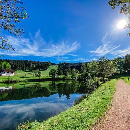 Ferienwohnung "Am Skilift" Herrischried المظهر الخارجي الصورة