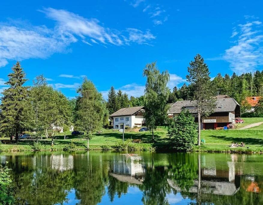 Ferienwohnung "Am Skilift" Herrischried المظهر الخارجي الصورة