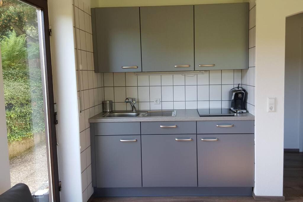 Ferienwohnung "Am Skilift" Herrischried المظهر الخارجي الصورة