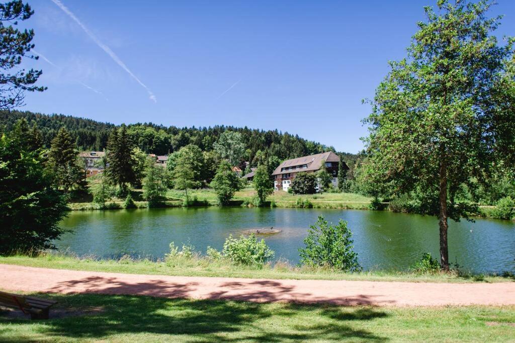 Ferienwohnung "Am Skilift" Herrischried المظهر الخارجي الصورة
