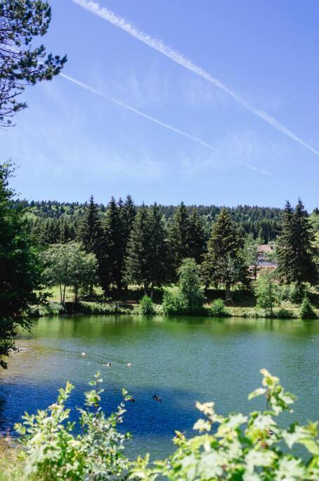 Ferienwohnung "Am Skilift" Herrischried المظهر الخارجي الصورة