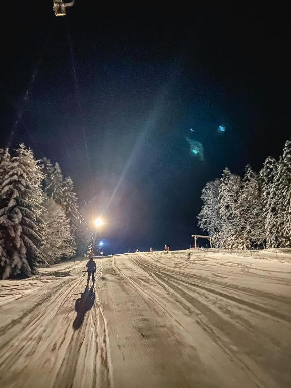 Ferienwohnung "Am Skilift" Herrischried المظهر الخارجي الصورة