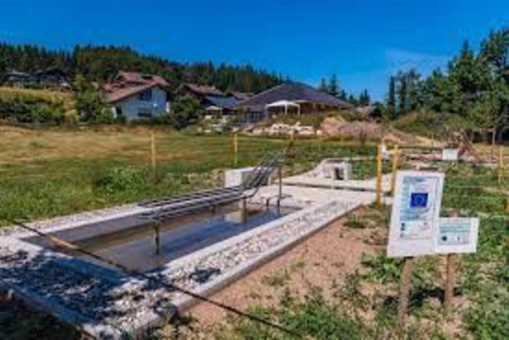 Ferienwohnung "Am Skilift" Herrischried المظهر الخارجي الصورة
