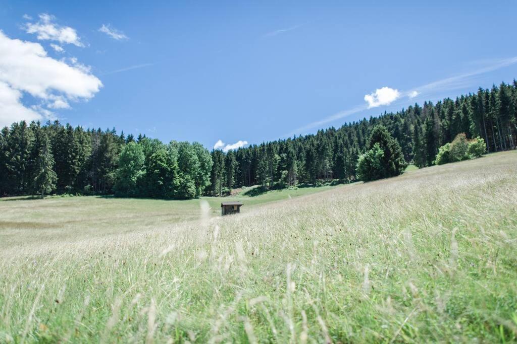 Ferienwohnung "Am Skilift" Herrischried المظهر الخارجي الصورة