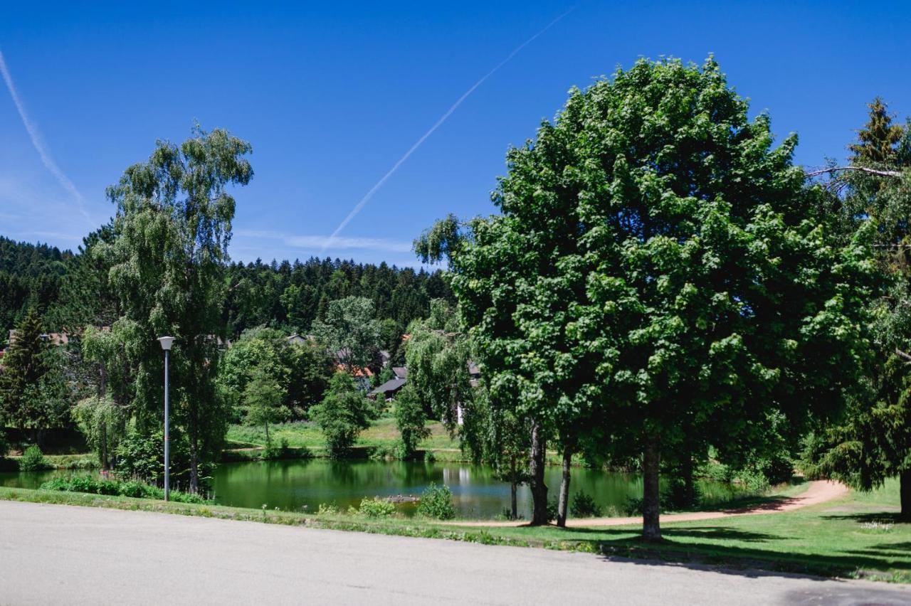 Ferienwohnung "Am Skilift" Herrischried المظهر الخارجي الصورة