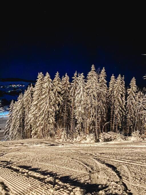 Ferienwohnung "Am Skilift" Herrischried المظهر الخارجي الصورة