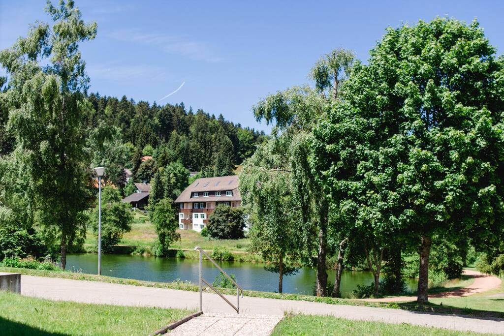 Ferienwohnung "Am Skilift" Herrischried المظهر الخارجي الصورة