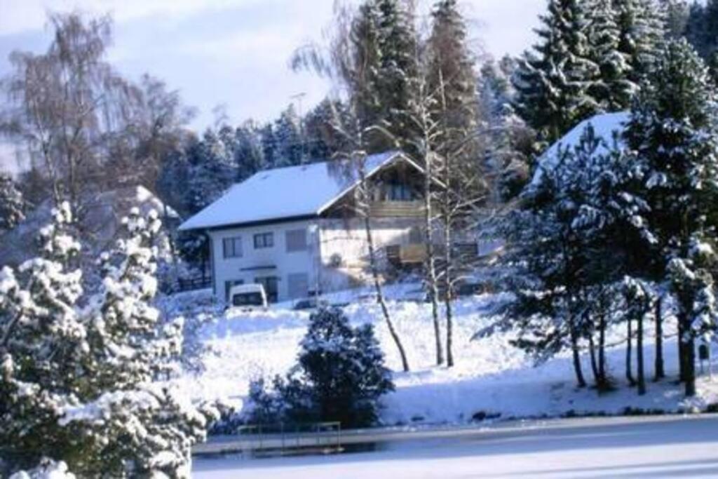 Ferienwohnung "Am Skilift" Herrischried المظهر الخارجي الصورة