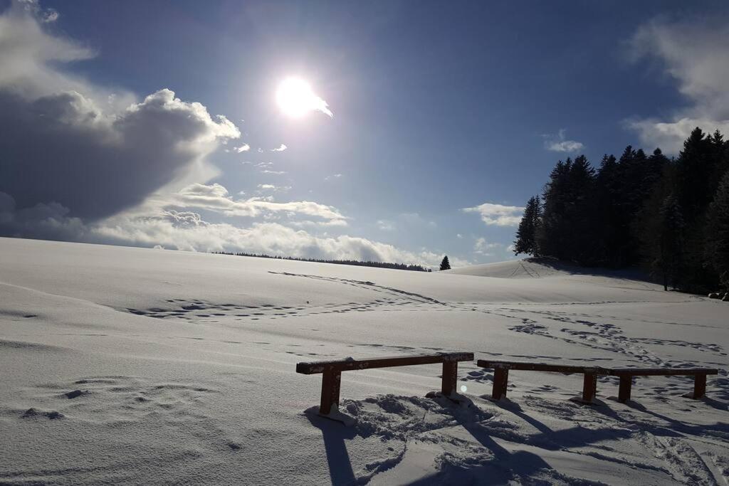 Ferienwohnung "Am Skilift" Herrischried المظهر الخارجي الصورة