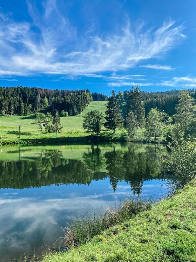 Ferienwohnung "Am Skilift" Herrischried المظهر الخارجي الصورة