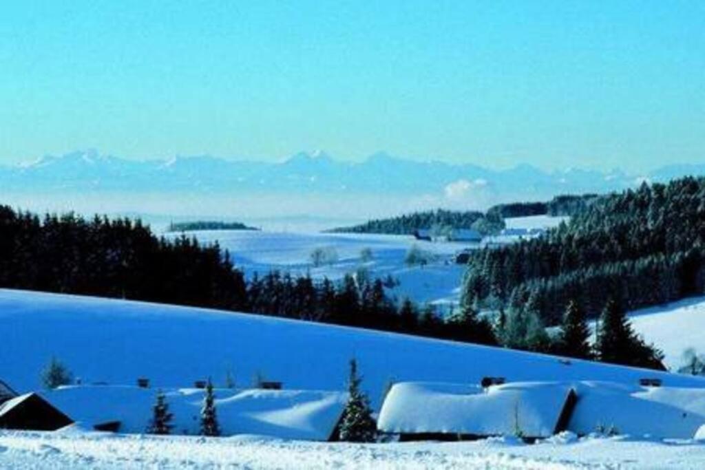 Ferienwohnung "Am Skilift" Herrischried المظهر الخارجي الصورة