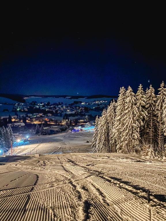 Ferienwohnung "Am Skilift" Herrischried المظهر الخارجي الصورة