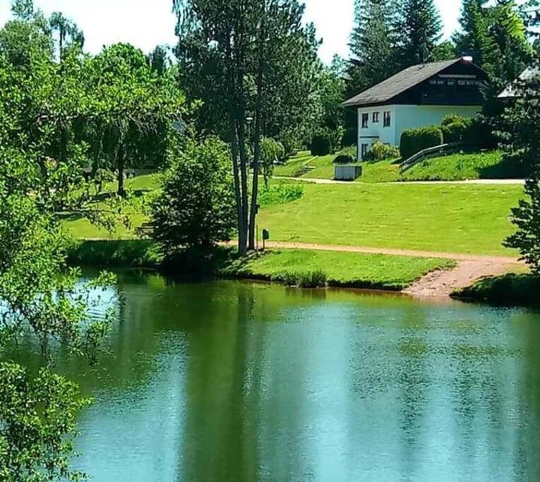 Ferienwohnung "Am Skilift" Herrischried المظهر الخارجي الصورة