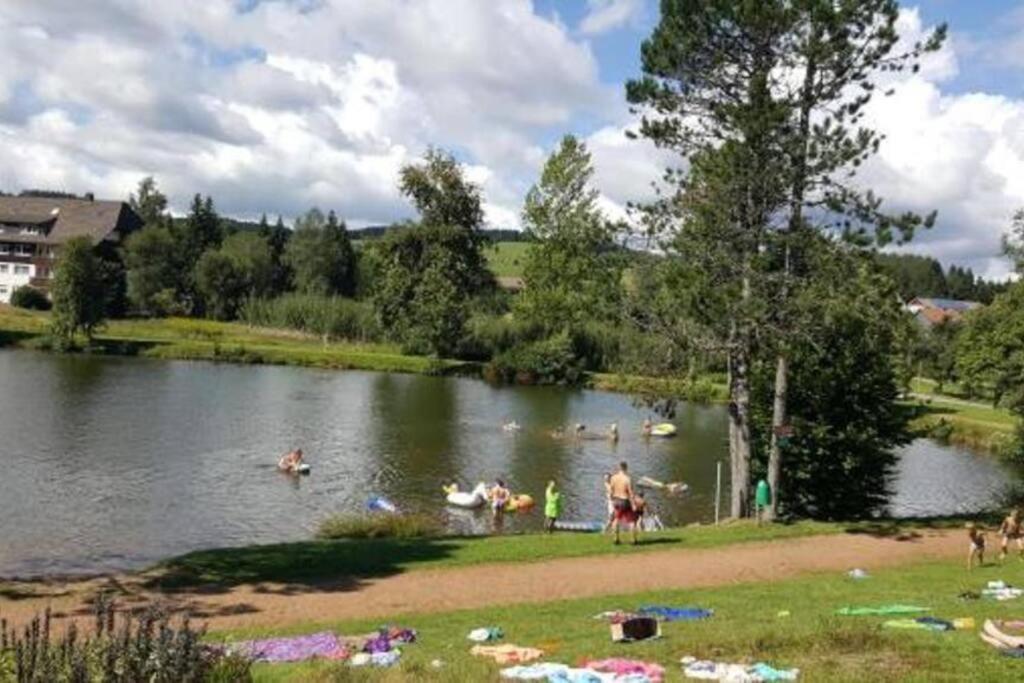 Ferienwohnung "Am Skilift" Herrischried المظهر الخارجي الصورة