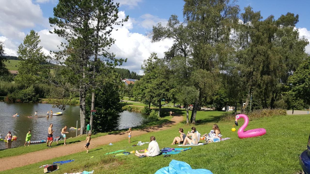 Ferienwohnung "Am Skilift" Herrischried المظهر الخارجي الصورة