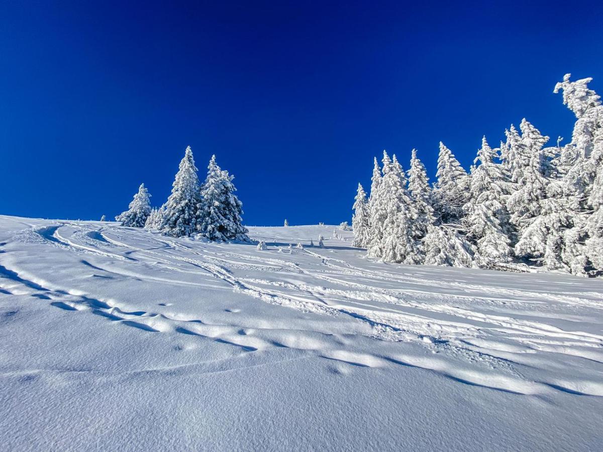 Ferienwohnung "Am Skilift" Herrischried المظهر الخارجي الصورة
